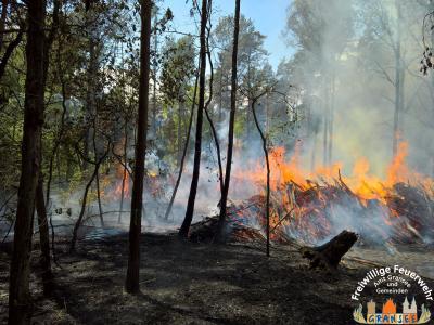 Foto des Albums: Einsatz Nr. 826 B: Wald