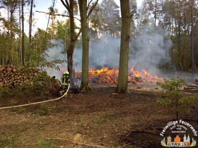 Foto des Albums: Einsatz Nr. 826 B: Wald