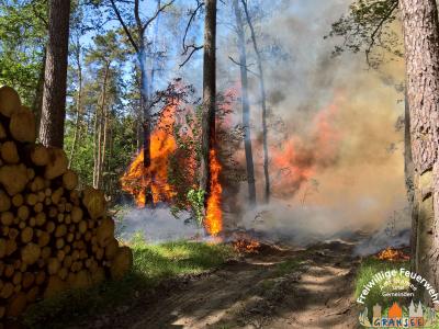 Foto des Albums: Einsatz Nr. 826 B: Wald