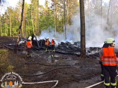 Foto des Albums: Einsatz Nr. 826 B: Wald
