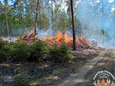 Foto des Albums: Einsatz Nr. 826 B: Wald