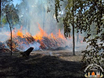 Foto des Albums: Einsatz Nr. 826 B: Wald