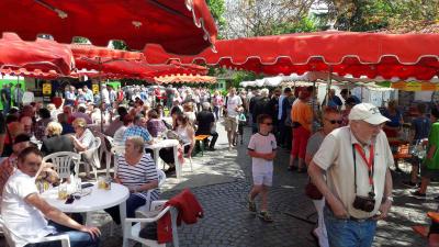 Vorschaubild der Galerie