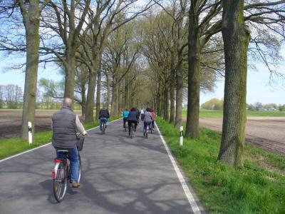 Allee Richtung Putlitz  (Bild vergr&ouml;&szlig;ern)