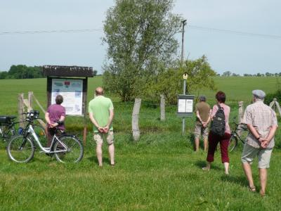 Foto des Albums: Raseneisensteinradtour des Amtes Ludwigslust-Land (28. 05. 2017)