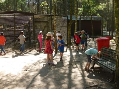 Foto des Albums: Wandertag der Klasse 2a