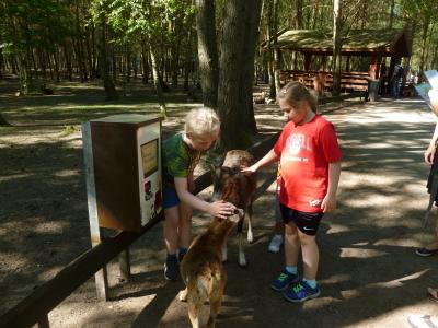 Foto des Albums: Wandertag der Klasse 2a