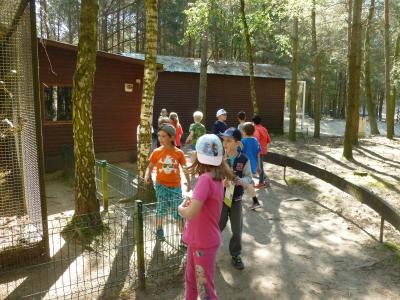 Foto des Albums: Wandertag der Klasse 2a