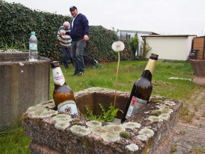 Foto des Albums: Arbeitseinsatz