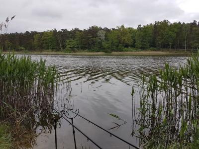 Foto des Albums: Pokalangeln Erwachsene