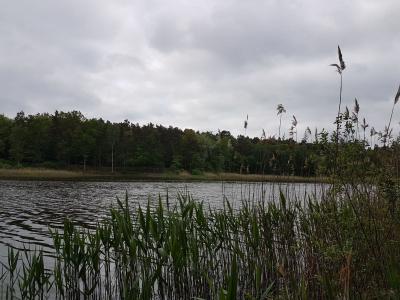Foto des Albums: Pokalangeln Erwachsene