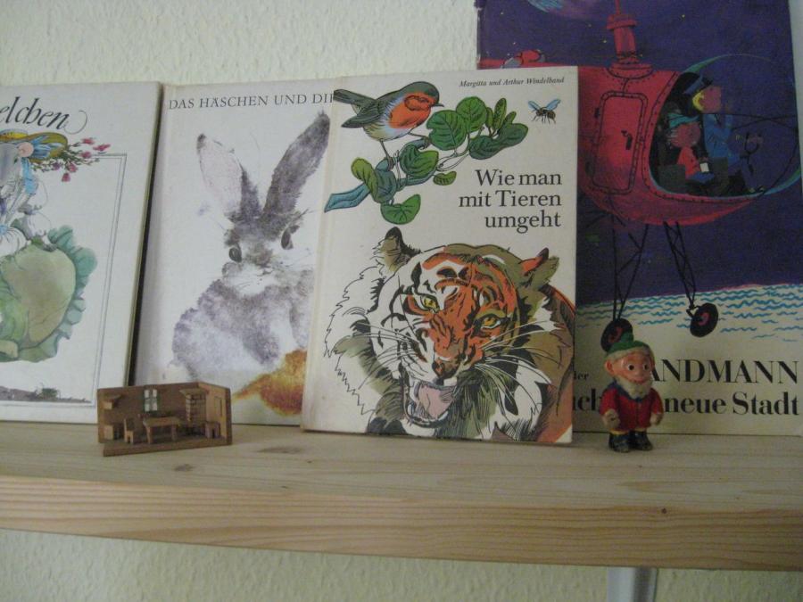 Bild der Galerie