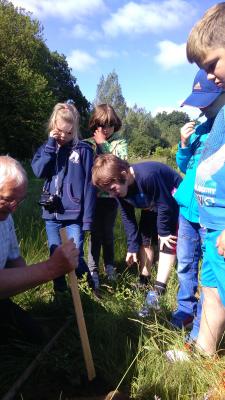 Foto des Albums: Wanderung der DFK 1 ins Arboretum
