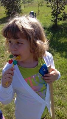 Foto des Albums: Wanderung der DFK 1 ins Arboretum