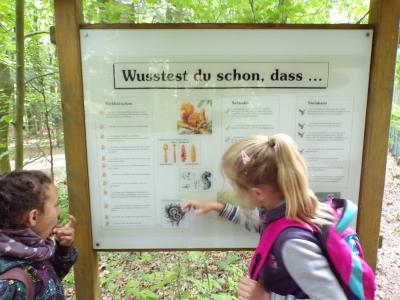 Foto des Albums: Kindertag im NUP Güstrow