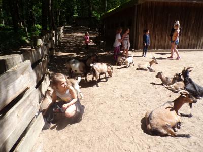 Foto des Albums: Kindertag im NUP Güstrow