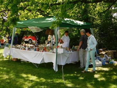 Foto des Albums: Tag der offenen Tür und Fest der Begegnung im IPK Gatersleben 2017