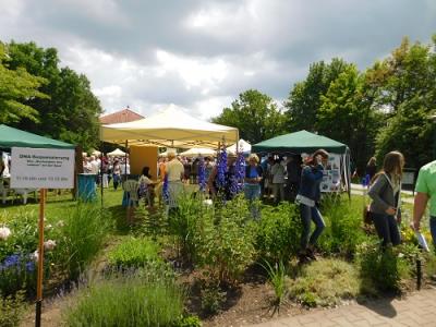 Foto des Albums: Tag der offenen Tür und Fest der Begegnung im IPK Gatersleben 2017