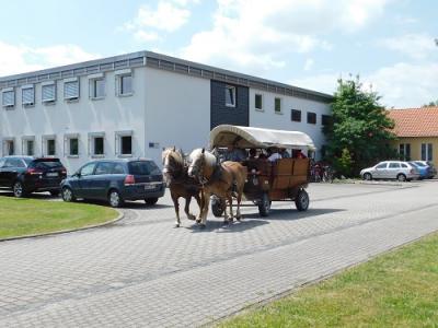 Foto des Albums: Tag der offenen Tür und Fest der Begegnung im IPK Gatersleben 2017