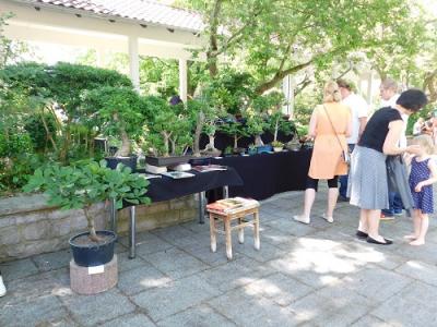 Foto des Albums: Tag der offenen Tür und Fest der Begegnung im IPK Gatersleben 2017