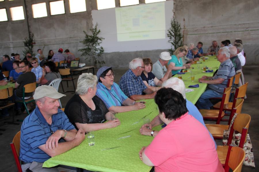 Bild der Galerie