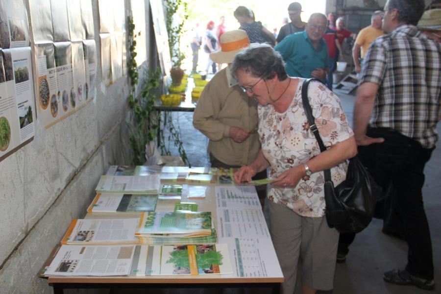 Bild der Galerie