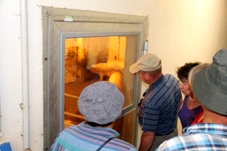 Bild der Galerie