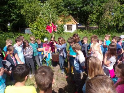 Foto des Albums: Apfelbaum aus Bönningstedt von unseren Schülern gepflanzt