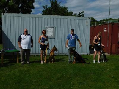 Foto des Albums: Tag des Hundes 2017