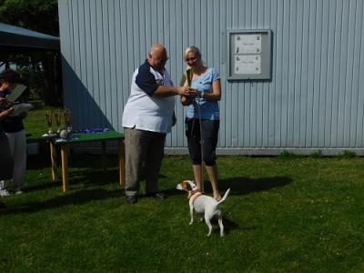 Foto des Albums: Tag des Hundes 2017
