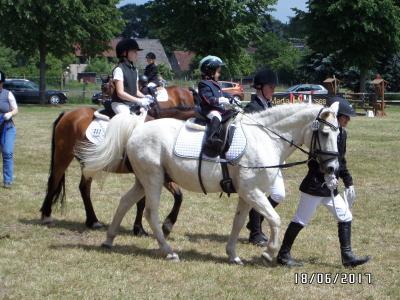 Foto des Albums: Reitturnier in Uenze