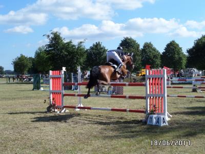 Foto des Albums: Reitturnier in Uenze