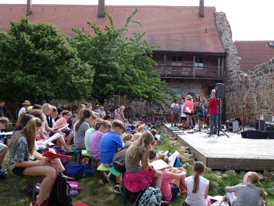 Foto des Albums: Come and sing im Klostergarten (22.06.2017)
