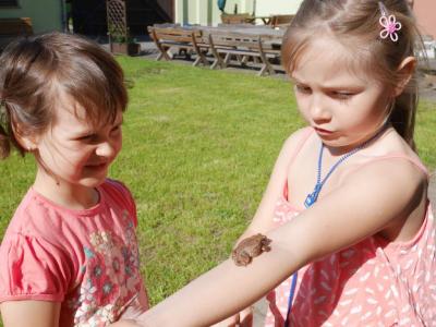 Foto des Albums: Abschlussrüste unserer Vorschulkinder 2017