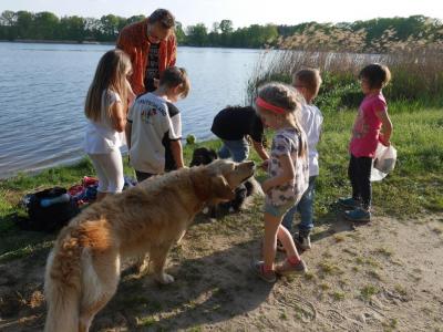 Foto des Albums: Abschlussrüste unserer Vorschulkinder 2017