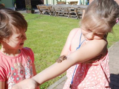 Foto des Albums: Abschlussrüste unserer Vorschulkinder 2017