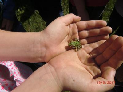 Foto des Albums: Abschlussrüste unserer Vorschulkinder 2017
