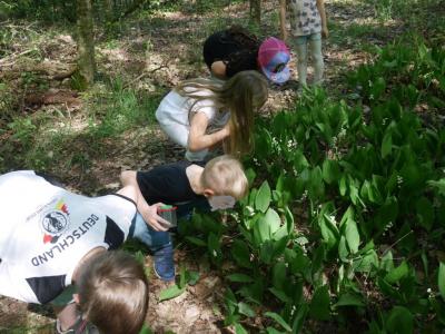 Foto des Albums: Abschlussrüste unserer Vorschulkinder 2017