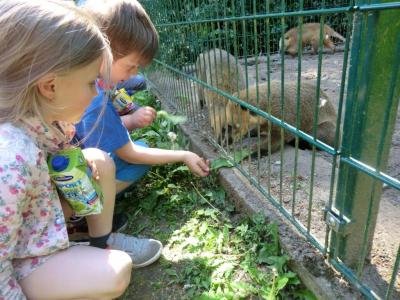 Foto des Albums: Abschlussrüste unserer Vorschulkinder 2017