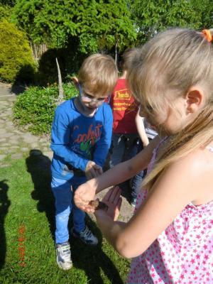 Foto des Albums: Abschlussrüste unserer Vorschulkinder 2017