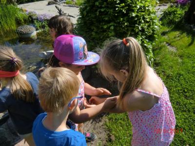 Foto des Albums: Abschlussrüste unserer Vorschulkinder 2017