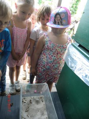 Foto des Albums: Abschlussrüste unserer Vorschulkinder 2017