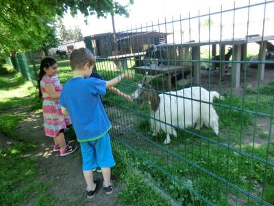 Foto des Albums: Abschlussrüste unserer Vorschulkinder 2017