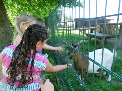 Foto des Albums: Abschlussrüste unserer Vorschulkinder 2017