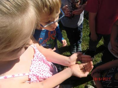 Foto des Albums: Abschlussrüste unserer Vorschulkinder 2017