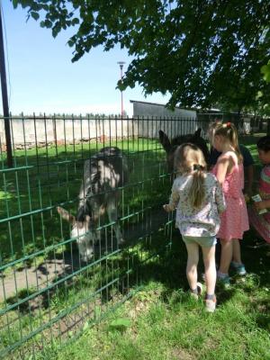 Foto des Albums: Abschlussrüste unserer Vorschulkinder 2017