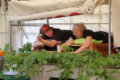 Foto des Albums: Dorffest 2017 in Waltersdorf
