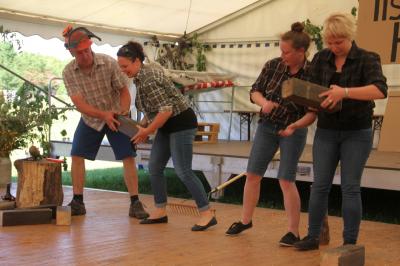 Foto des Albums: Dorffest 2017 in Waltersdorf