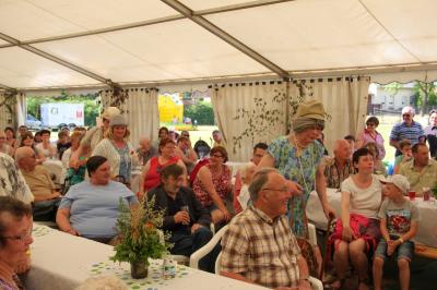 Foto des Albums: Dorffest 2017 in Waltersdorf
