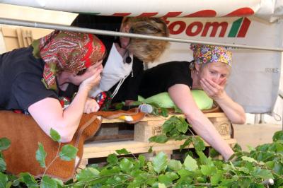Foto des Albums: Dorffest 2017 in Waltersdorf